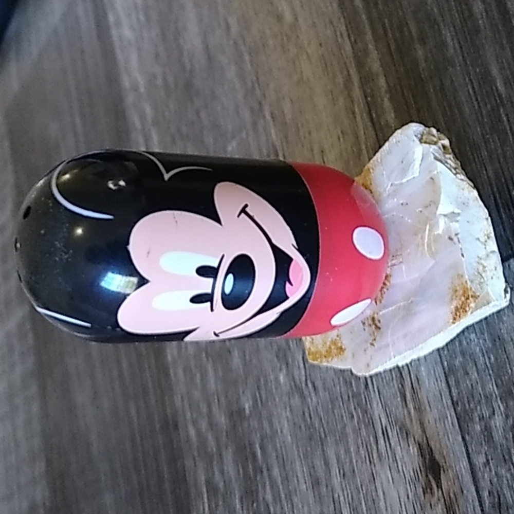 Disney Parks Mickey Mouse 2005-2006